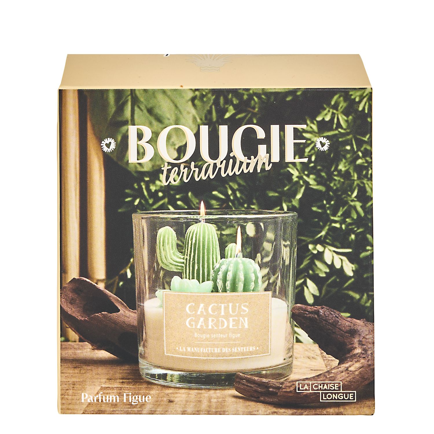 BOUGIE PARFUMEE TERRARIUM - Image 4