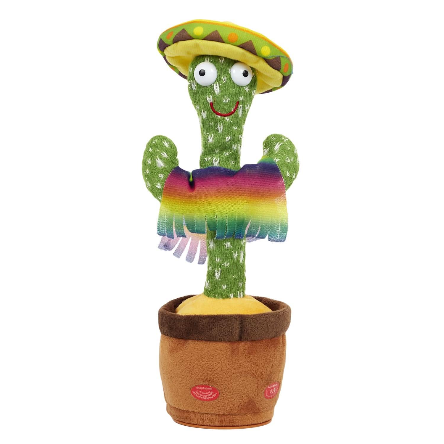 CACTUS DANSANT - Image 3