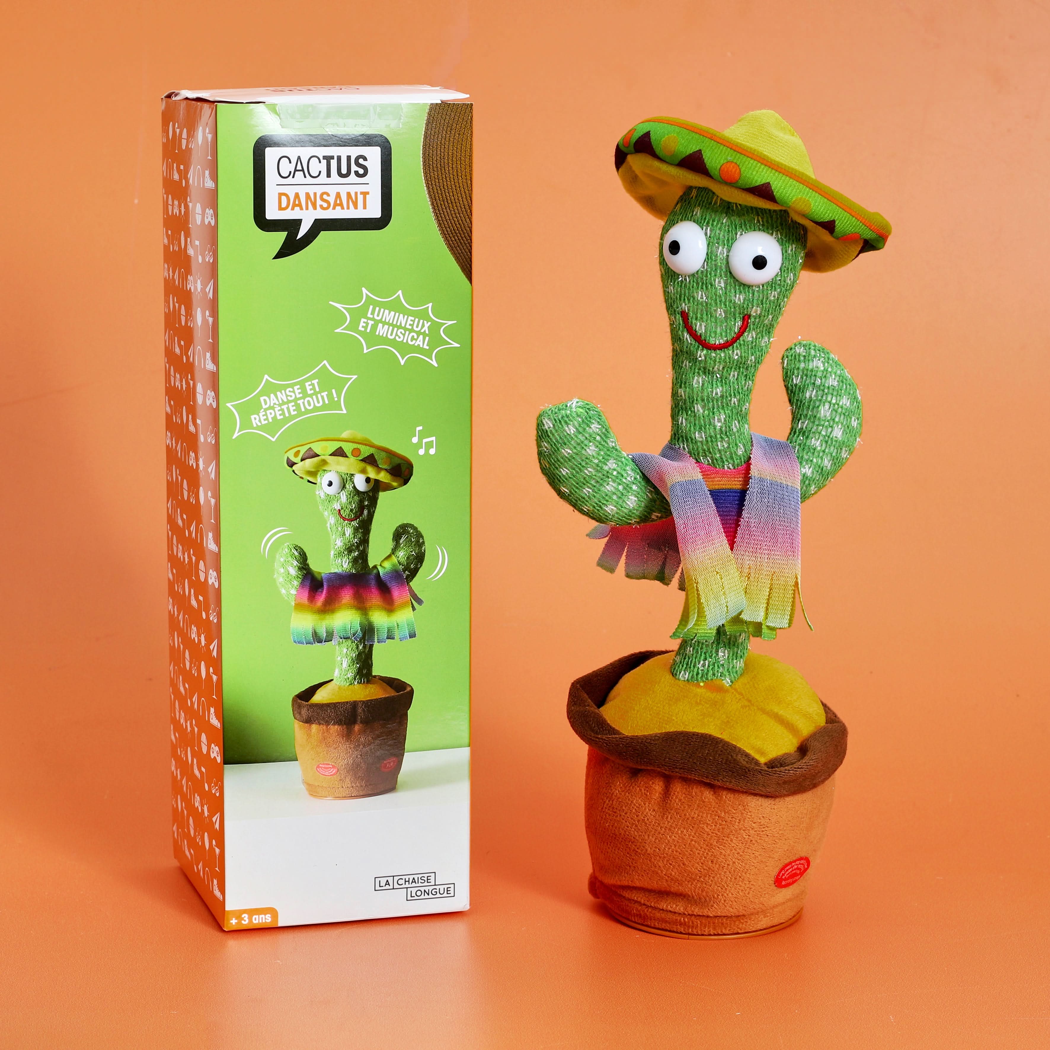 CACTUS DANSANT - Image 4
