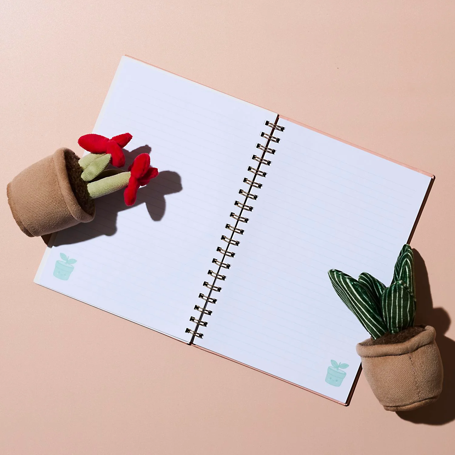 CARNET PETITE PLANTE - Image 2