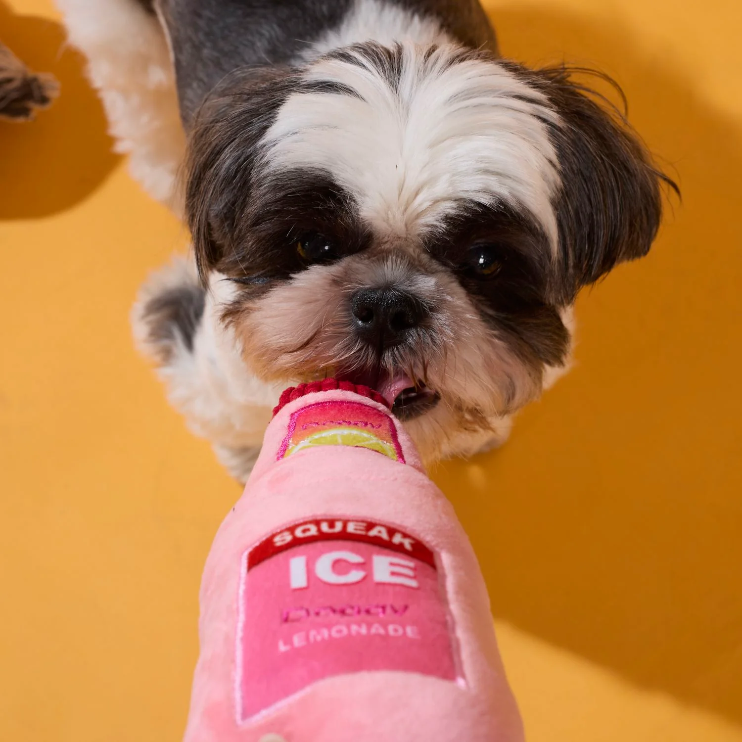 COFFRET JOUETS CHIEN DONUTS ET LIMONADE - Image 3