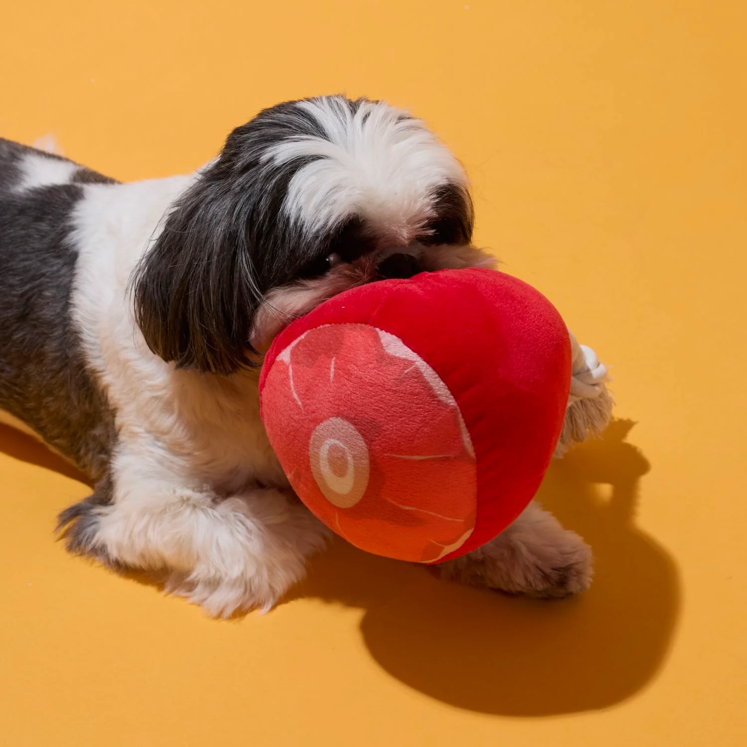 COFFRET JOUETS CHIEN JAMBON ET SAUCISSES - Image 3