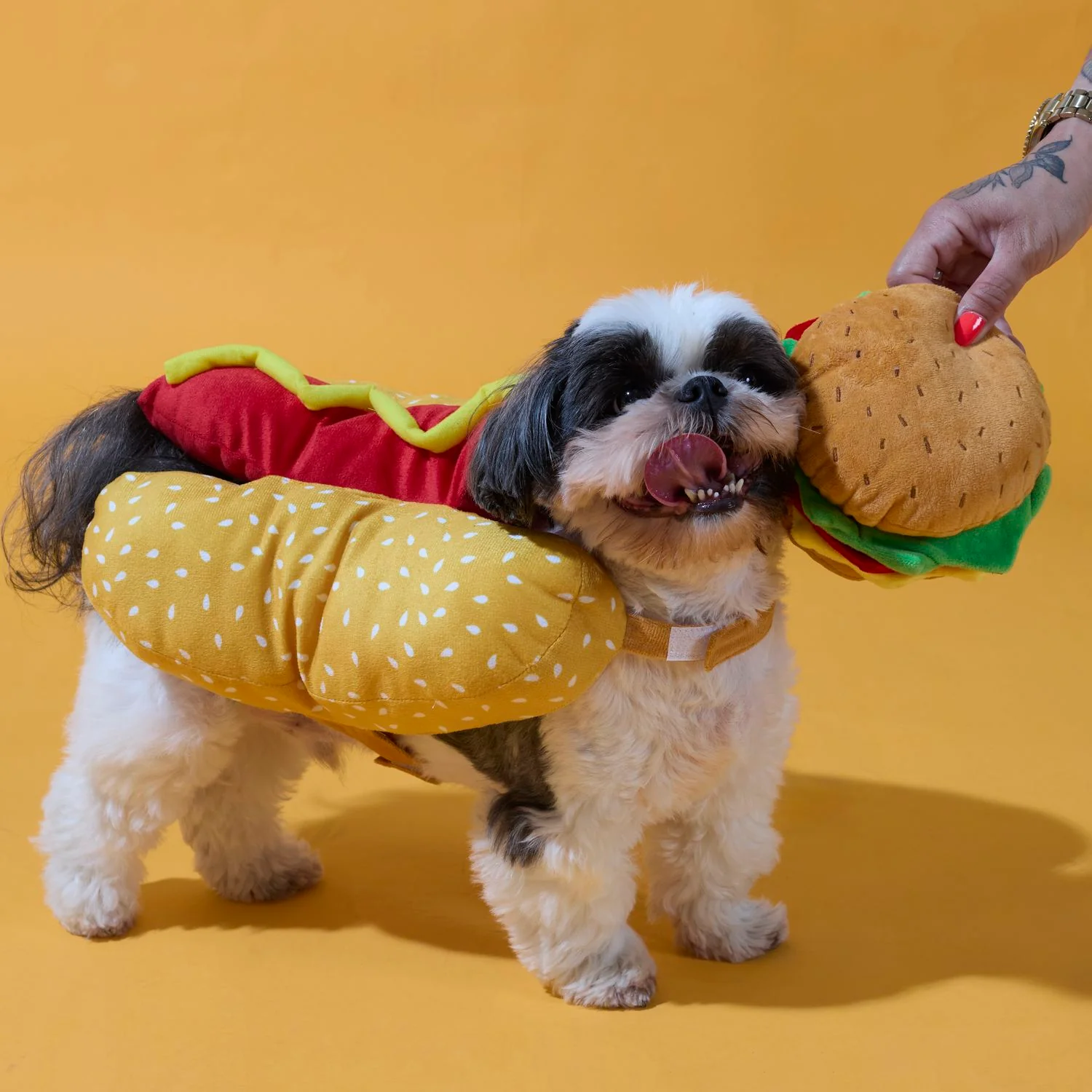 DEGUISEMENT HOT-DOG POUR CHIEN - Image 3
