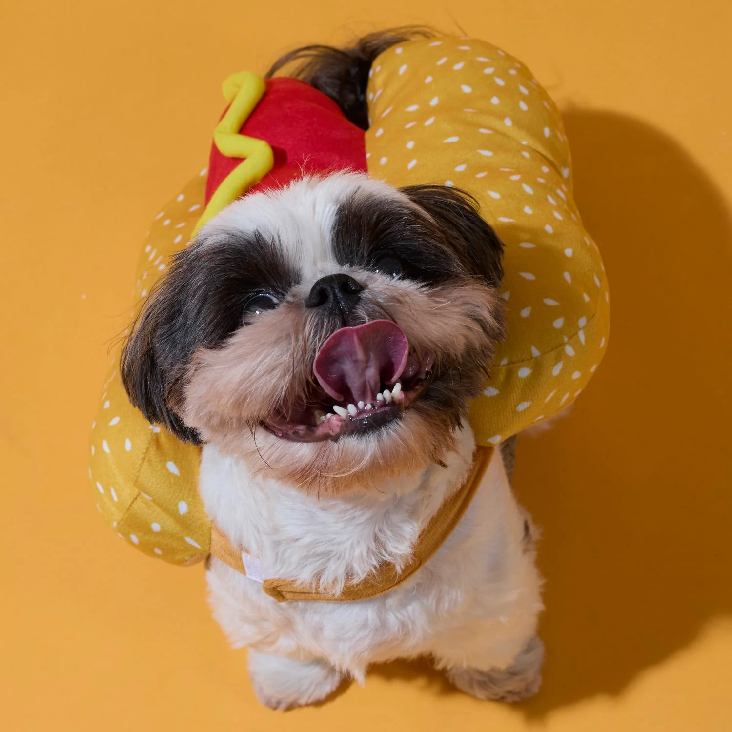 DEGUISEMENT HOT-DOG POUR CHIEN - Image 4