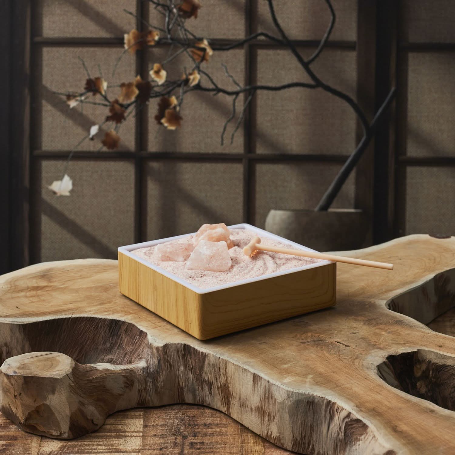 JARDIN ZEN AVEC CRISTAUX DE SEL ROSE - Image 2