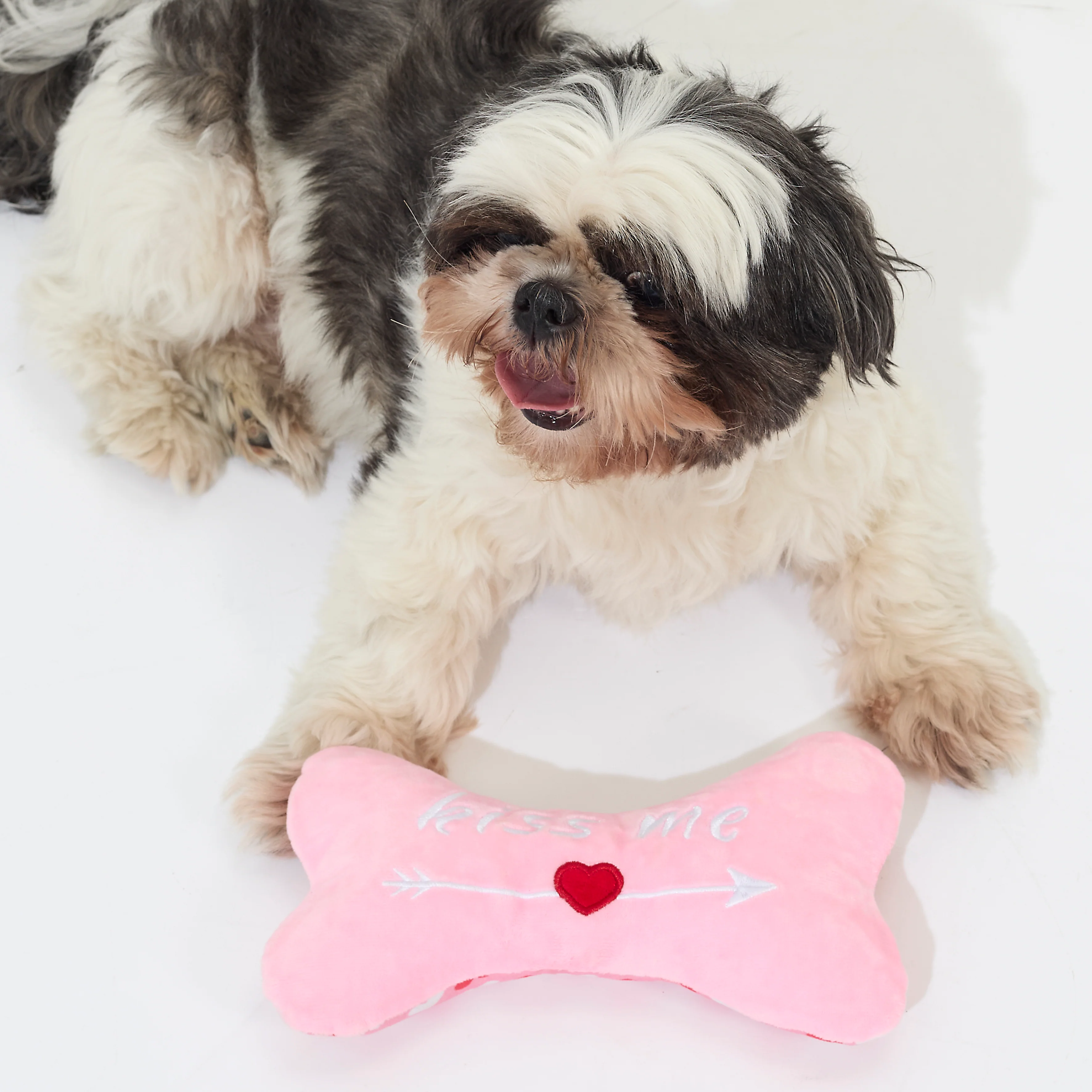 JOUET POUR CHIEN OS KISS ME - Image 3