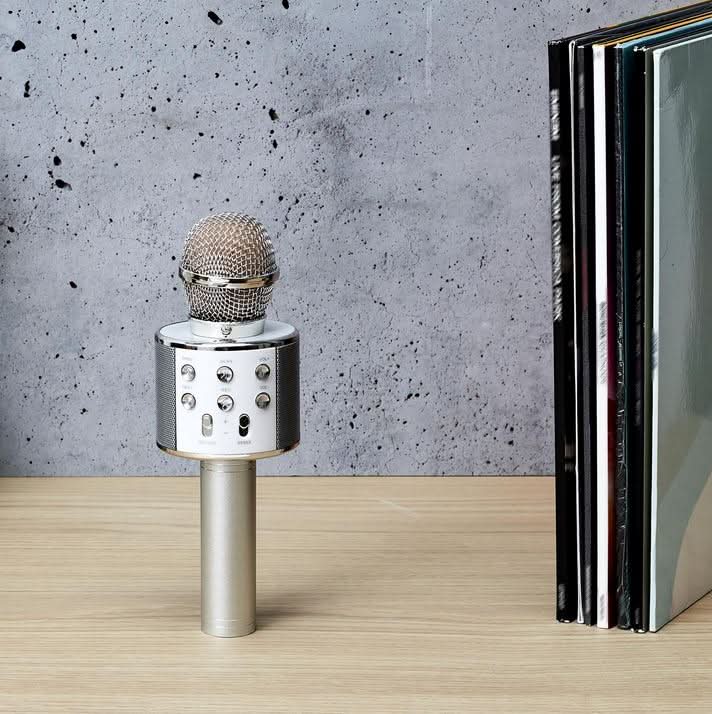MICRO KARAOKE - Image 2
