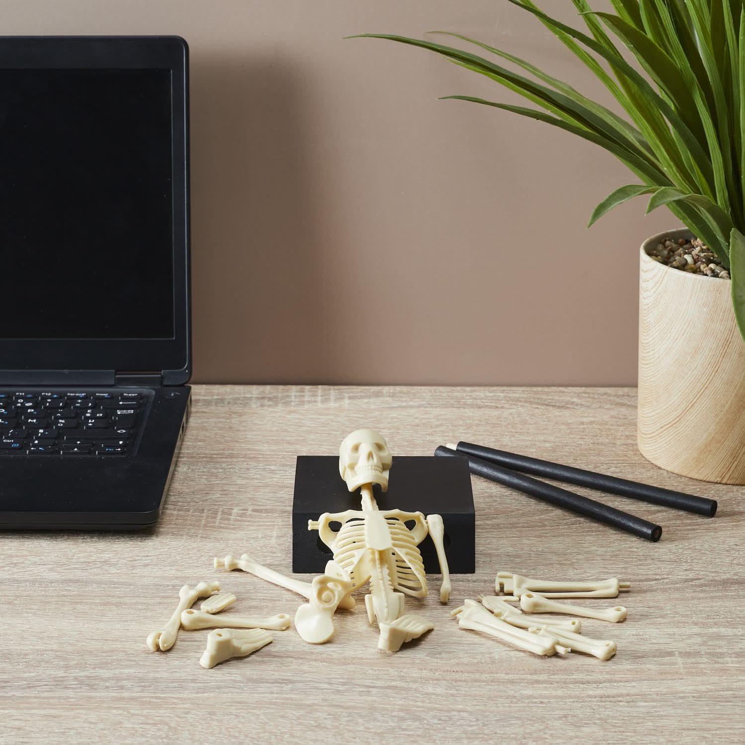 MINI SQUELETTE DE BUREAU OSCAR - Image 4