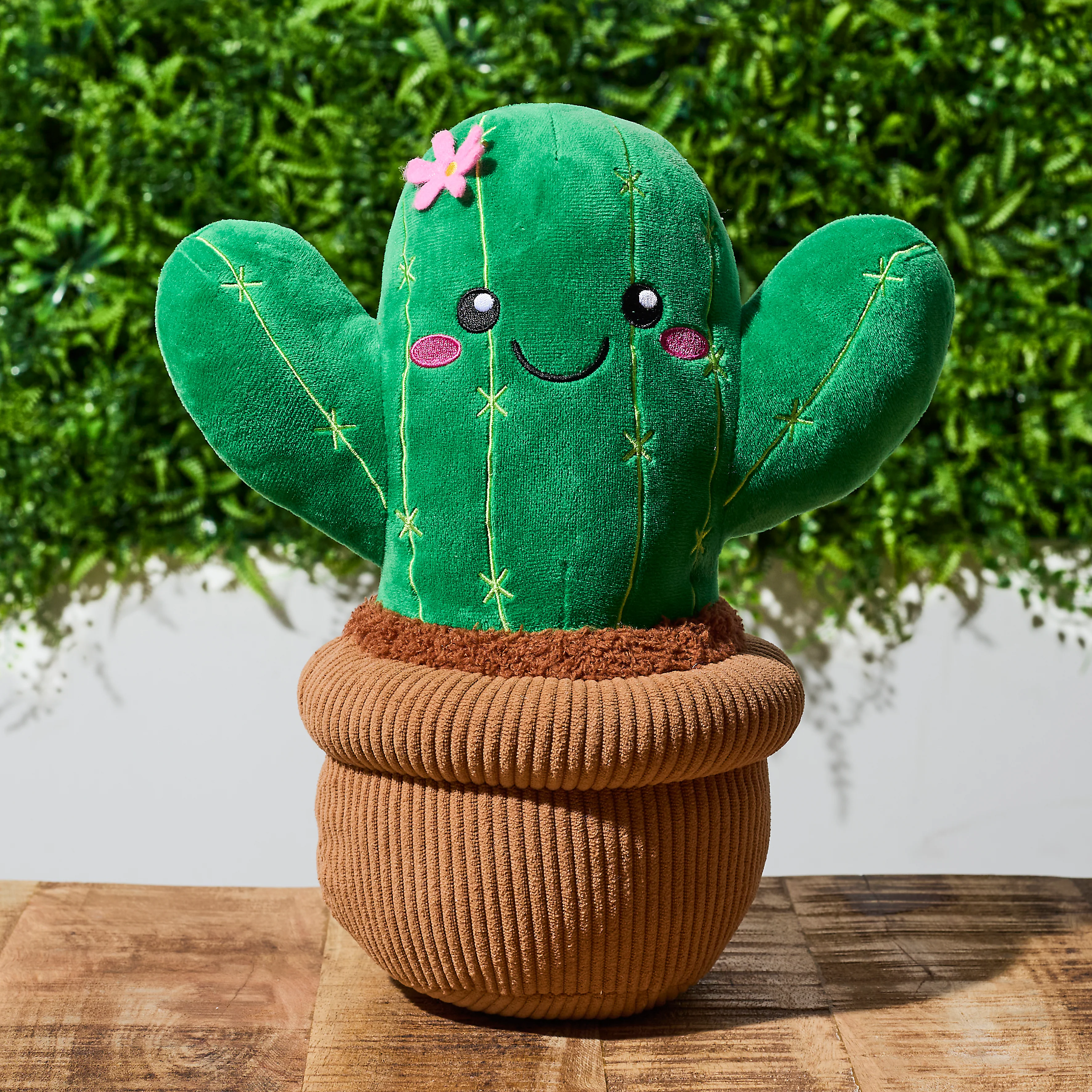 PELUCHE SIERRA LE CACTUS KAWAII - Image 2