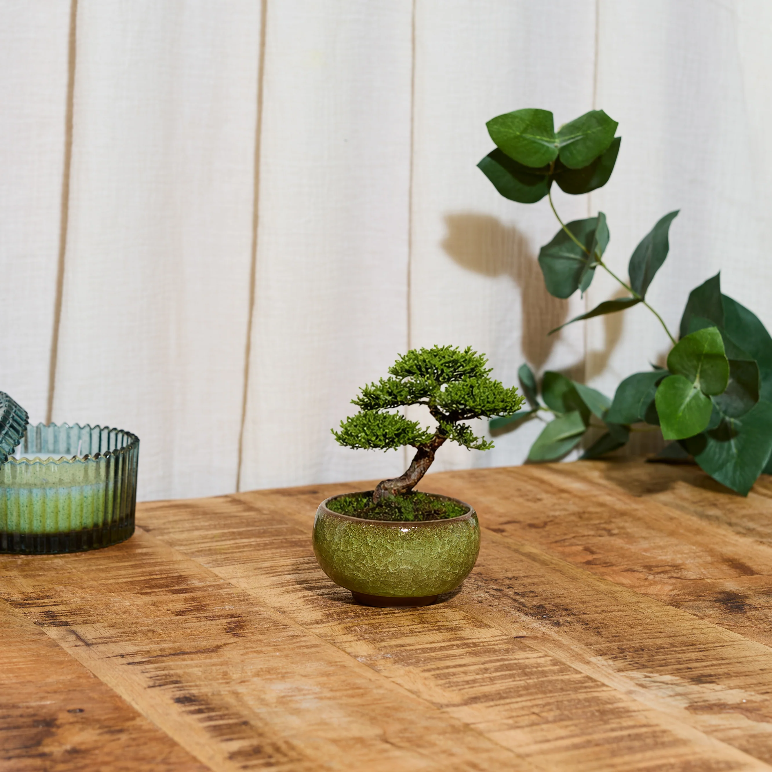 Miniature 1