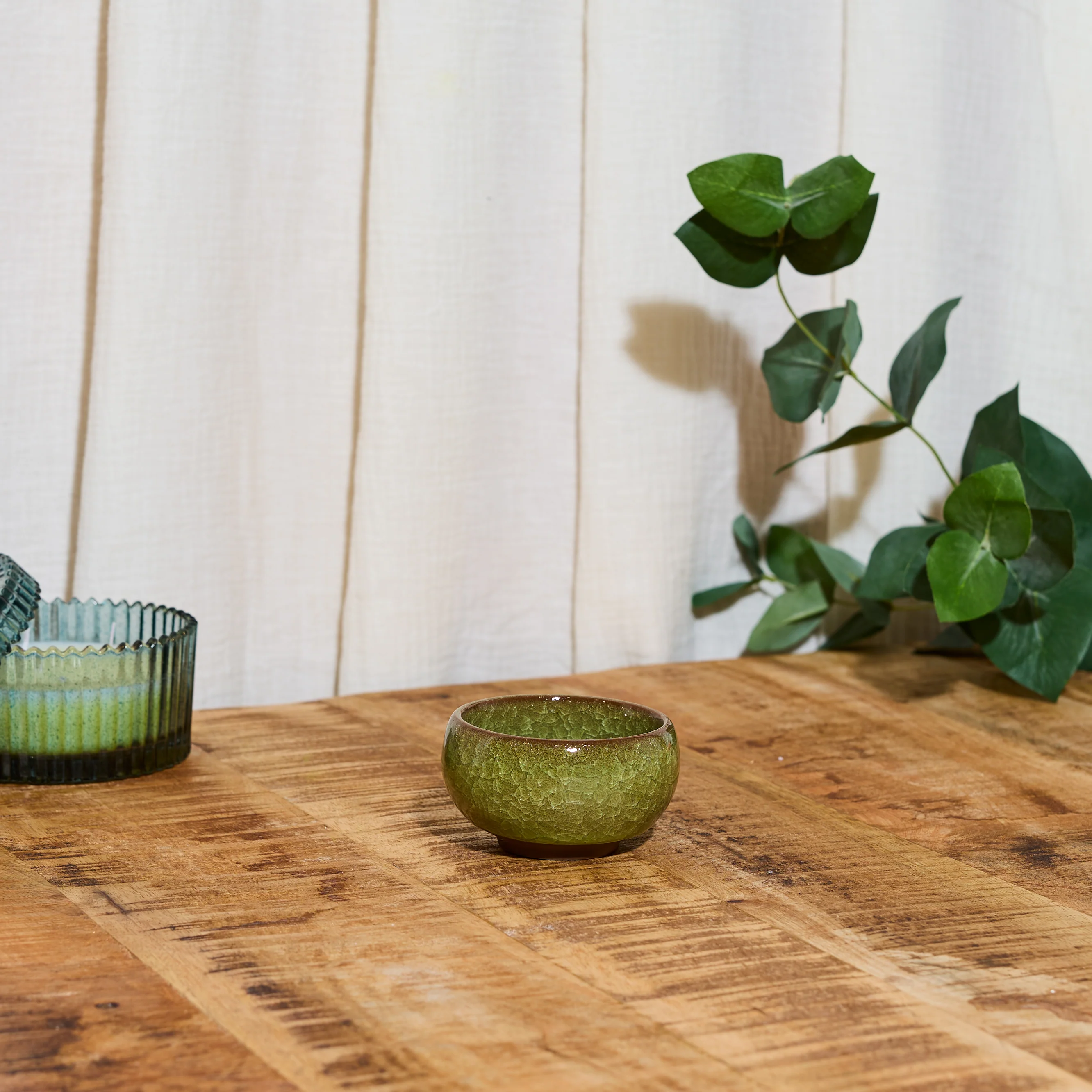PRĂT A POUSSER BONSAI - Image 3
